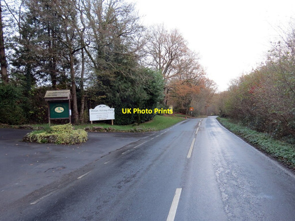 Photo 6"x4" Heol i Genarth \/ Road to Cenarth Cenarth c2021