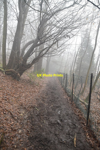 Photo 6"x4" Greensand Way, Toys Hill Puddledock\/TQ4650 c2021