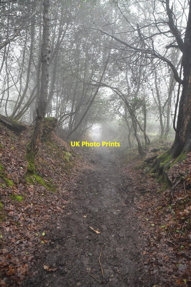 Photo 6"x4" Greensand Way descending to Toys Hill Puddledock\/TQ4650 c2021