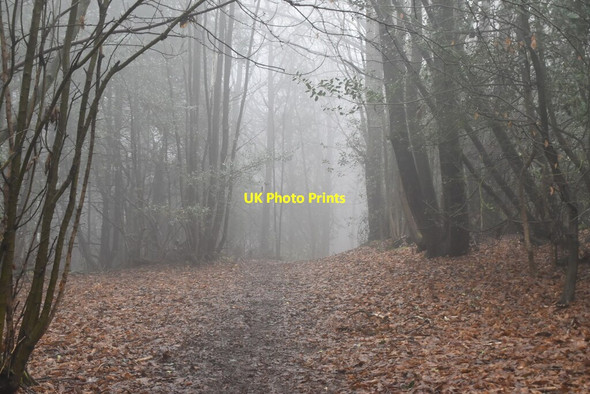 Photo 6"x4" Greensand Way, Ide Hill Hanging Bank c2021