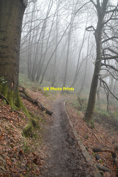 Photo 6"x4" Greensand Way, Cox's Shaw Hanging Bank c2021