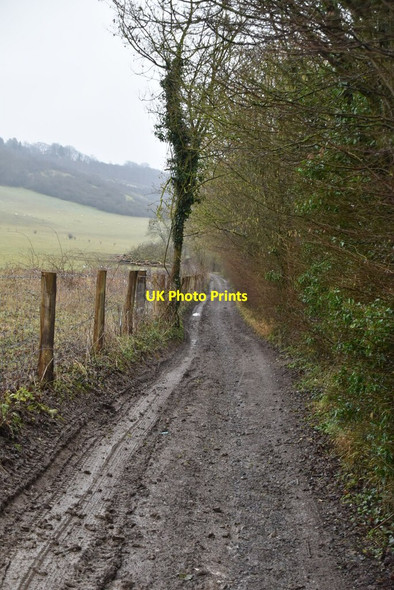 Photo 6"x4" North Downs Way Wrotham c2021