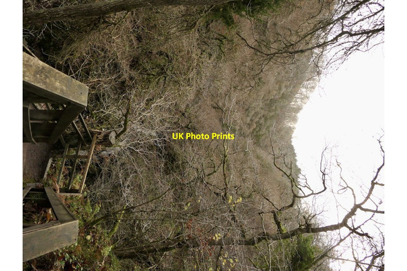 Photo 6"x4" Gorge above the Deil's Cauldron Comrie\/NN7722 c2021