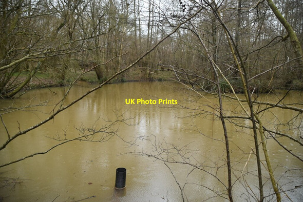 Photo 6"x4" Pond, Line Wood Mountfield\/TQ7320 c2021