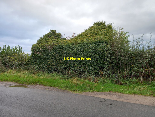 Photo 6"x4" Markington, How Hill Road Ingerthorpe c2021 P1