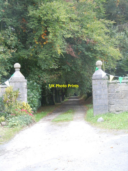 Photo 6"x4" Mynediad i Plas Cwmgwili\/ Entrance to Cwmgwili Mansion Bronwydd Arms c2021