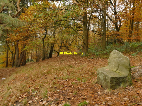 Photo 6"x4" Prince of Wales Park: stone seat Bingley\/SE1139 c2021