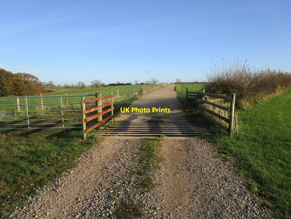 Photo 6"x4" Cattle grid near Old Hills Wood Holwell\/SK7323 c2021