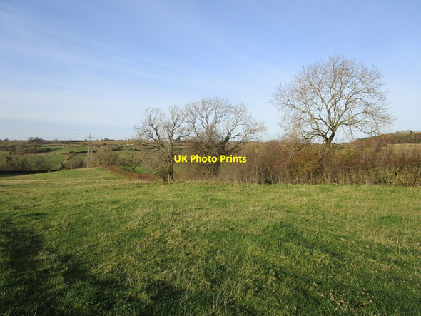 Photo 6"x4" Grass field and hedgerow with trees Holwell\/SK7323 c2021
