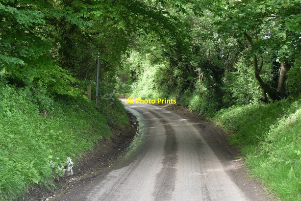 Photo 6"x4" Rural Hertfordshire lane Kelshall c2021