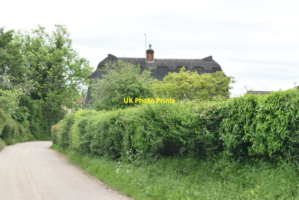 Photo 6"x4" The Quillet Hay Green\/TL3436 c2021
