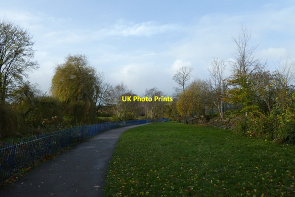 Photo 6"x4" Path in the park Heslington c2021