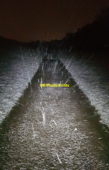 Photo 6"x4" Snow falling on the path York\/SE5951 c2021