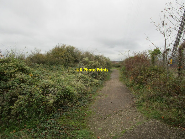Photo 6"x4" Track at Beachley Point Beachley c2021