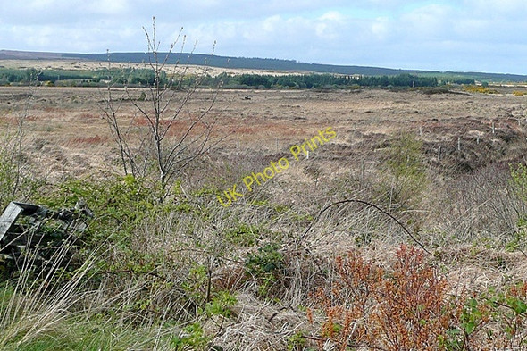Photo 6"x4" Cluais Ch\u00c3\u00a9ir\u00c3\u00adn (Clooshgereen) Oughterard c2009