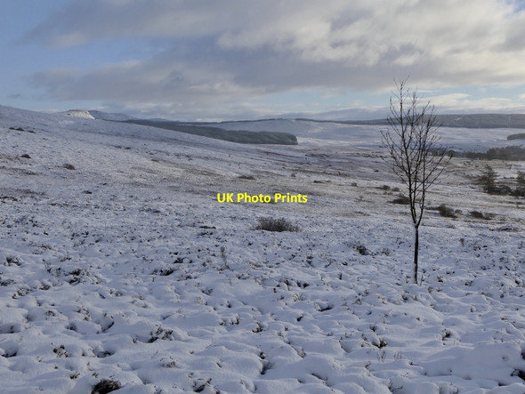 Photo 6"x4" Moorland above Moulin Moulin c2021