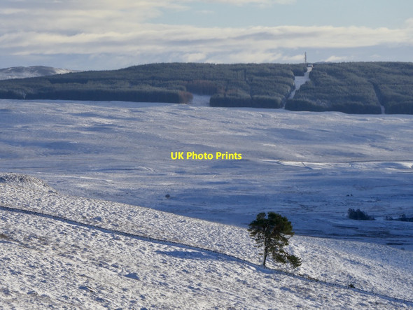 Photo 6"x4" Moorland above Moulin Pitlochry c2021