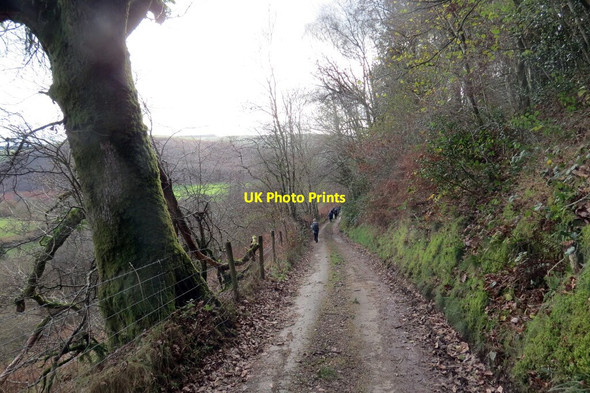 Photo 6"x4" Heol yn Allt Bwlch-y-gilwen \/ A road at Allt Bwlch-y-gilwen Ffarmers c2021