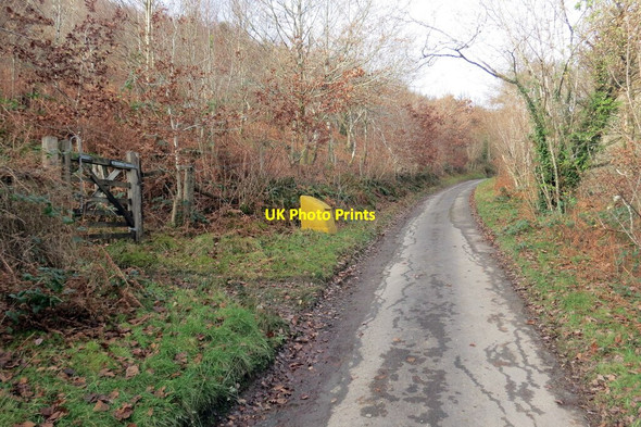 Photo 6"x4" Llwybr Allt Bwlch-y-gelain \/ Allt Bwlch-y-gelain Ffarmers c2021