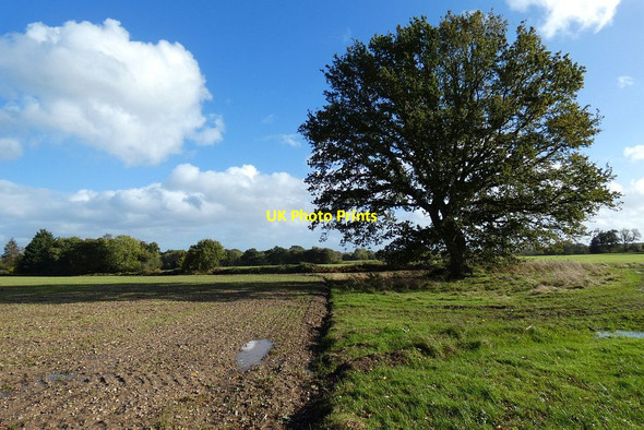 Photo 6"x4" Farmland, Hartley Wespall Chandlers Green c2021