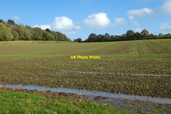 Photo 6"x4" Farmland, Stratfield Turgis Stratfield Turgis c2021