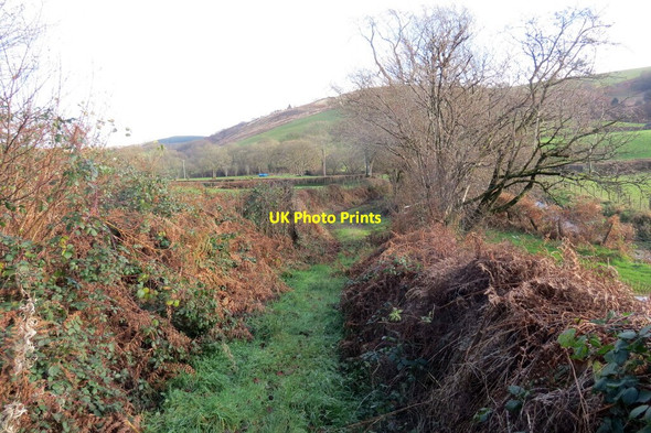 Photo 6"x4" Llwybr ger Ffarm Brynteg \/ Path near Brynteg Farm Cwrt-y-cadno c2021