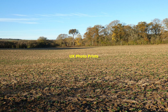 Photo 6"x4" Farmland, Monk Sherborne Monk Sherborne c2021