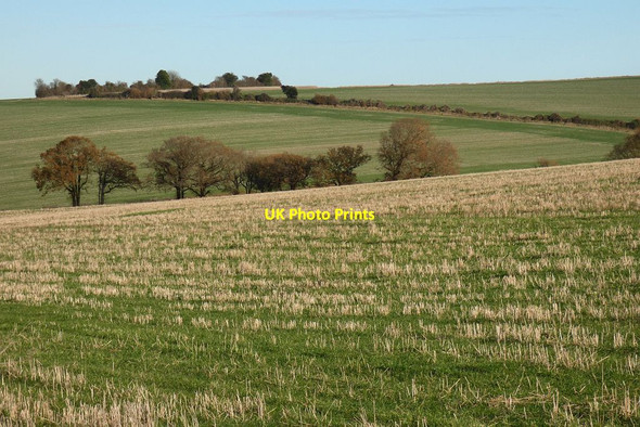 Photo 6"x4" Farmland, Hannington Upper Wootton c2021