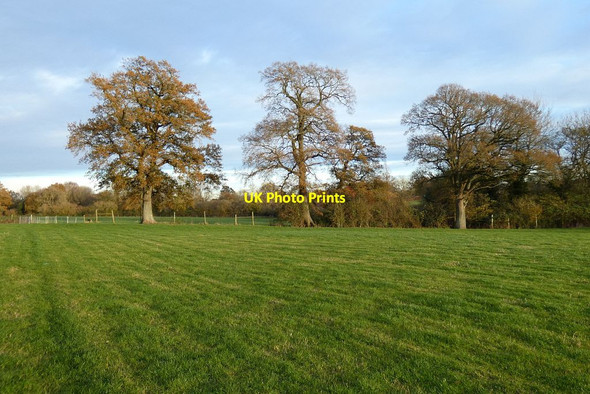 Photo 6"x4" Pasture, Wootton St Lawrence Ramsdell c2021