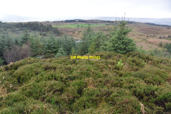 Photo 6"x4" Cavan Burren Park Moneygashel c2021