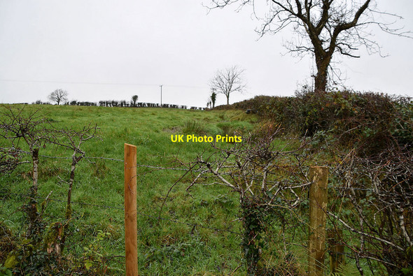 Photo 6"x4" Skreen Townland Fintona c2021