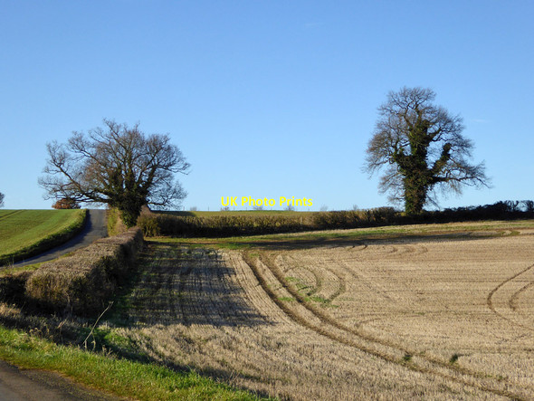 Photo 6"x4" Stubble field by Everdon - Badby road Badby c2016