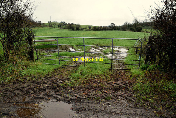 Photo 6"x4" Muddy entrance to field, Skreen Fintona c2021