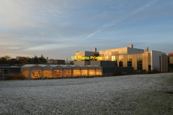 Photo 6"x4" Biology buildings York\/SE5951 c2021