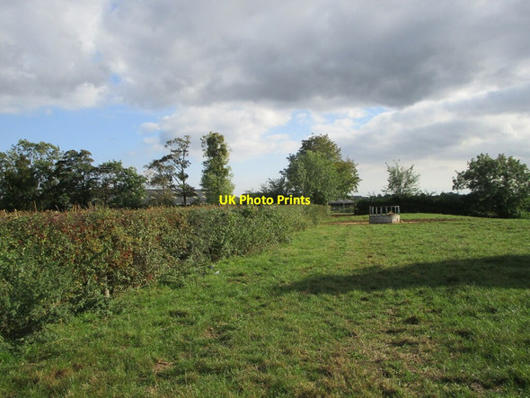 Photo 6"x4" Grass field, Tibberton Tibberton\/SO7621 c2021
