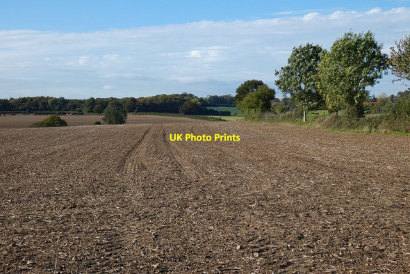 Photo 6"x4" Farmland, Shiplake Shiplake Row c2021
