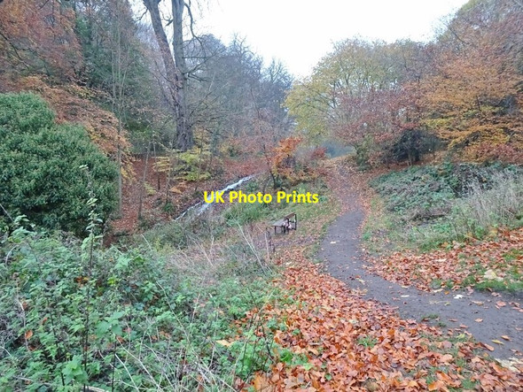 Photo 6"x4" Autumn in the Park Himley c2021