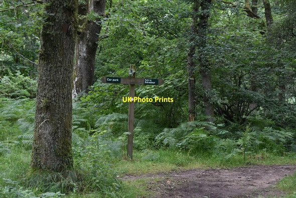 Photo 6"x4" Black Spout Wood Pitlochry c2021