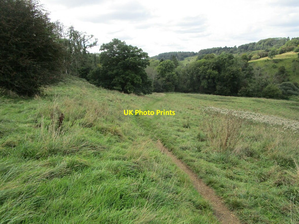 Photo 6"x4" Wysis Way at Sapperton Daneway c2021