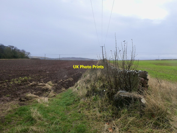 Photo 6"x4" Ploughed field near Bowerhouse Dunbar c2021