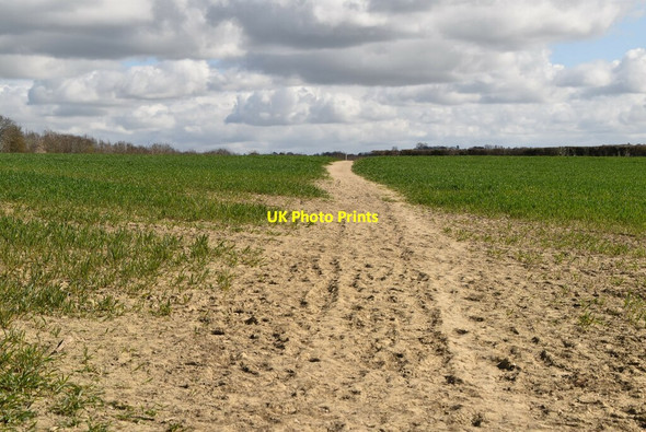 Photo 6"x4" High Weald Landscape Trail Rolvenden Layne c2021