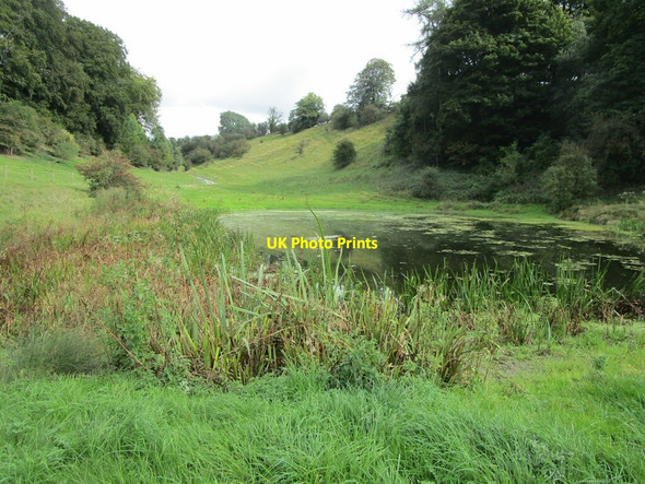 Photo 6"x4" Pond near Pinbury Park Daneway c2021