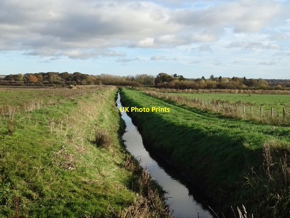 Photo 6"x4" Beils Beck, North Cliffe Carr Rascal Moor c2021