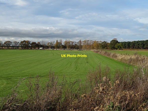 Photo 6"x4" Turf field off Cliffe Lane Rascal Moor c2021