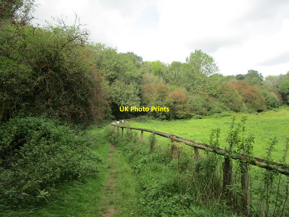 Photo 6"x4" Bridleway to Gloucester Beeches Edgeworth c2021