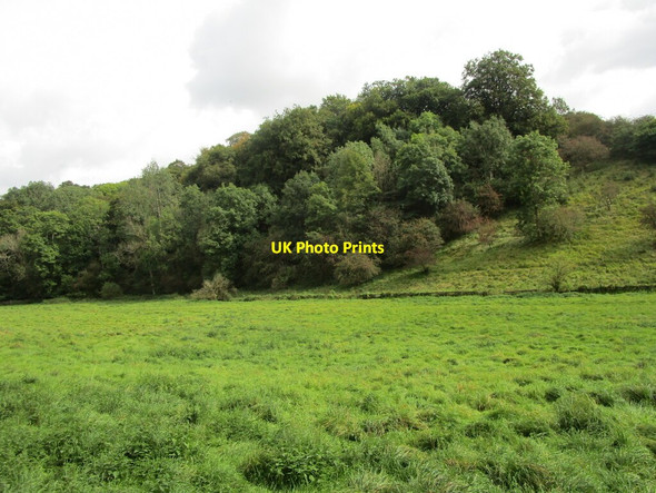 Photo 6"x4" The upper Frome Valley Edgeworth c2021
