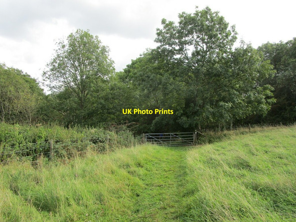 Photo 6"x4" Bridleway to Pinbury Park Edgeworth c2021
