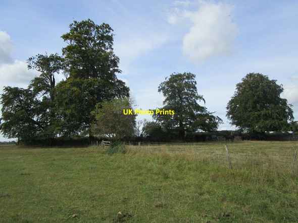 Photo 6"x4" Gloucester Beeches Edgeworth c2021