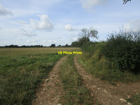 Photo 6"x4" Bridleway to the road between Sapperton and Edgeworth Edgeworth c2021