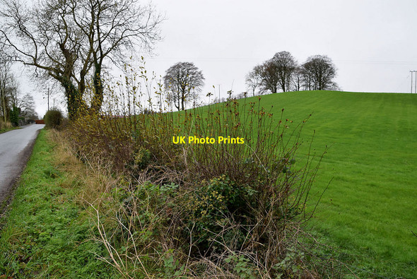 Photo 6"x4" Mullaghmore  Townland Omagh c2021